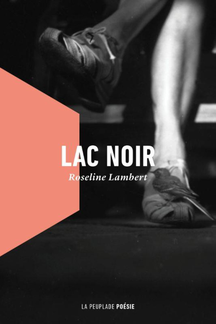 LAC NOIR - ILLUSTRATIONS, COULEUR - LAMBERT ROSELINE - LA PEUPLADE