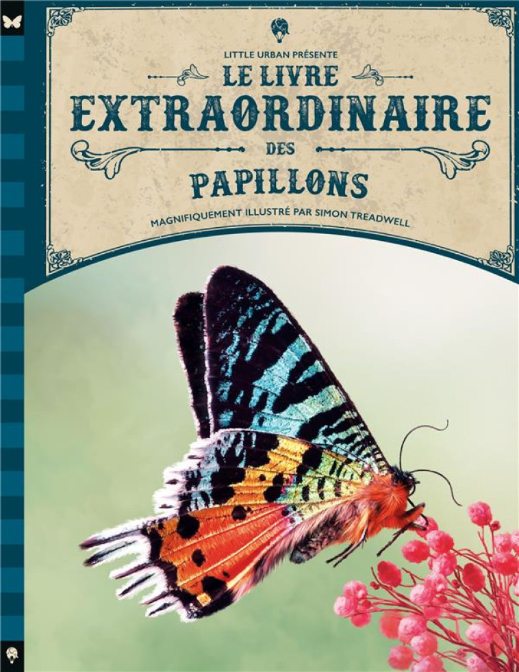 LE LIVRE EXTRAORDINAIRE DES PAPILLONS - TAYLOR BARBARA - LITTLE URBAN