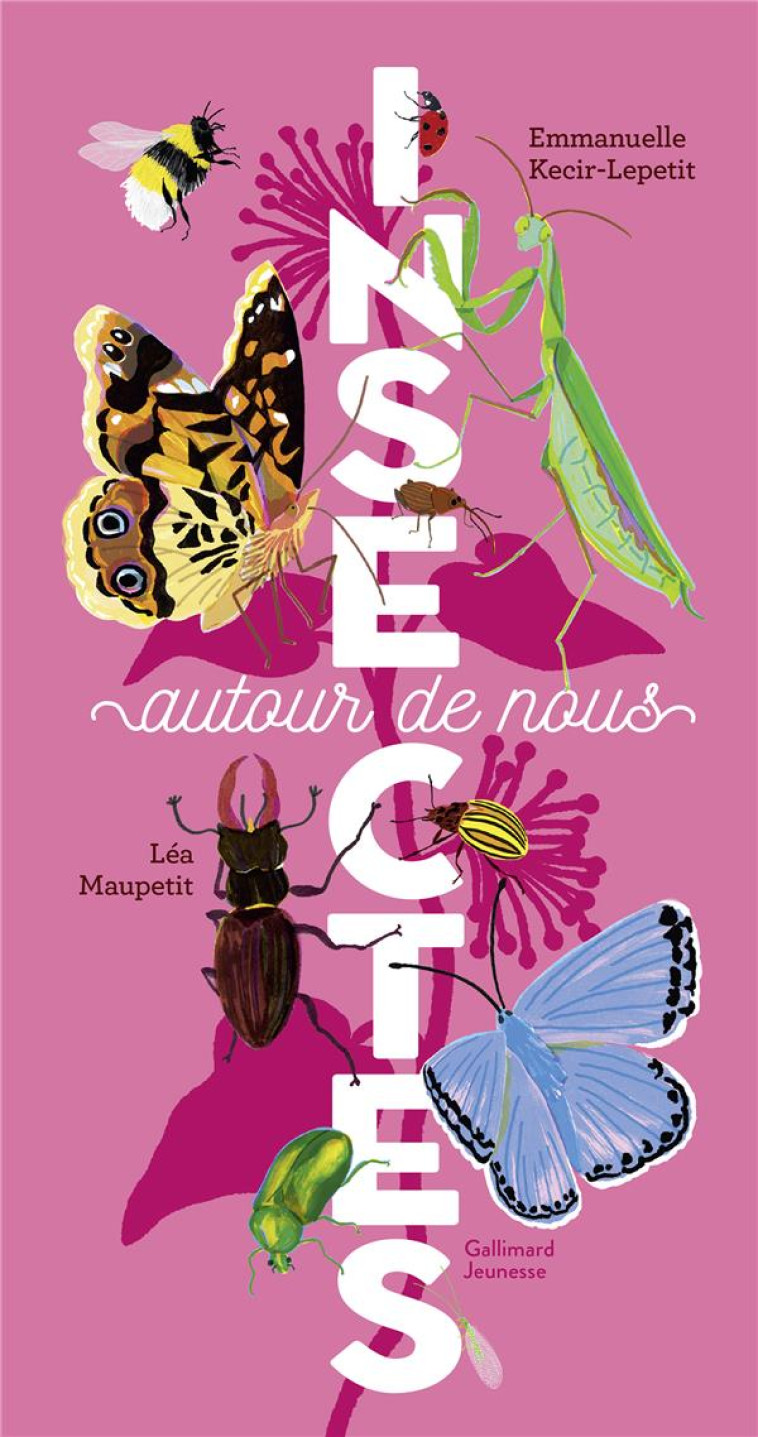 INSECTES AUTOUR DE NOUS - KECIR-LEPETIT - GALLIMARD