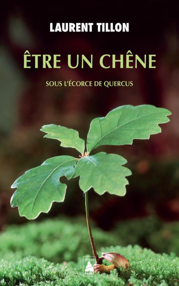 ETRE UN CHENE : SOUS L'ECORCE DE QUERCUS - TILLON, LAURENT - ACTES SUD