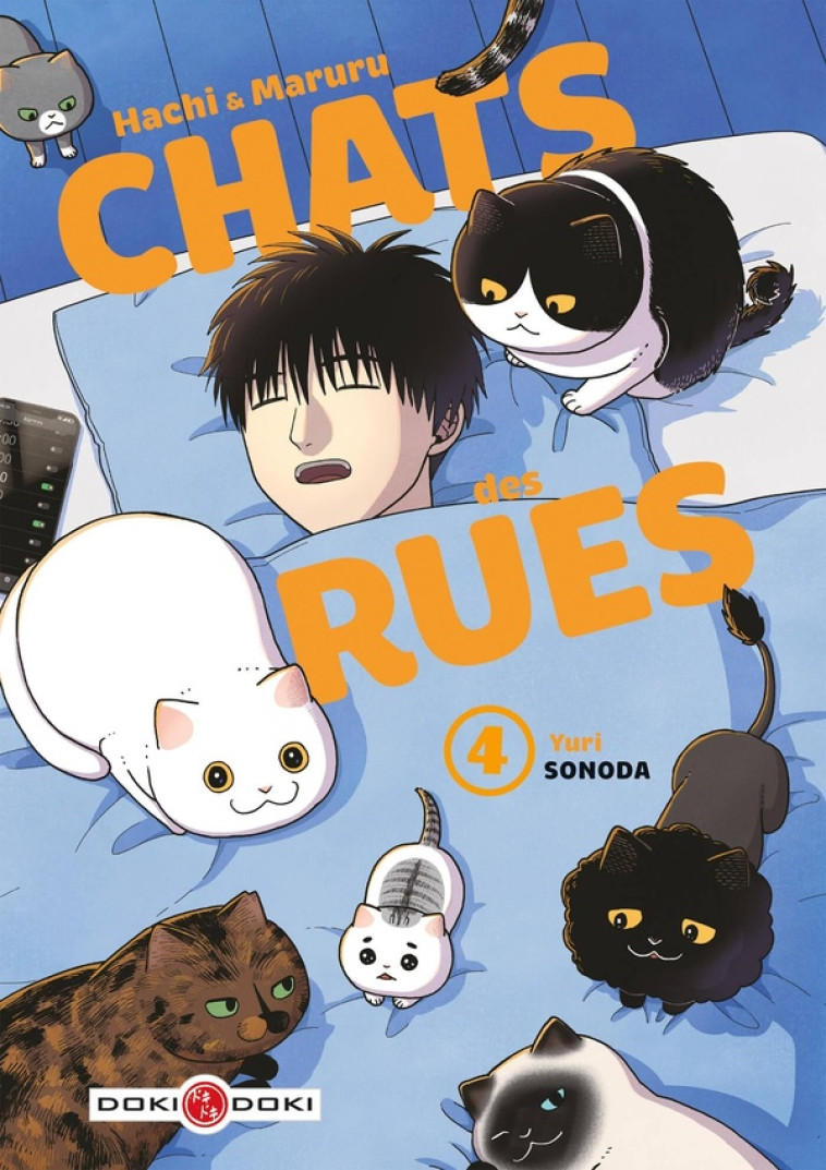 HACHI & MARURU - CHATS DES RUES - VOL. 04 - SONODA YURI - BAMBOO