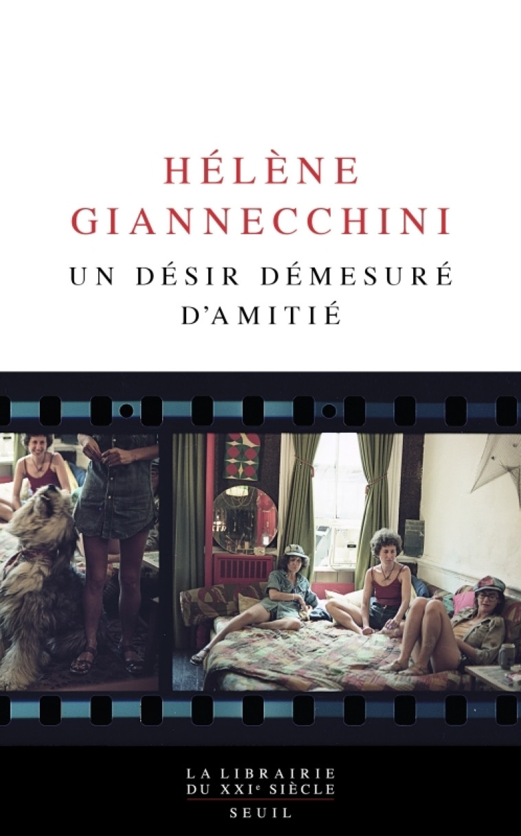 UN DESIR DEMESURE D-AMITIE - GIANNECCHINI HELENE - SEUIL