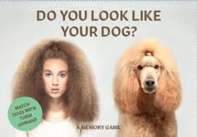 Do You Look Like Your Dog? A Memory Game /anglais -  GETHINGS GERRARD - LAURENCE KING