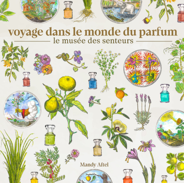 Voyage dans le monde du parfum - Le musée des senteurs - À la découverte de l'étrange et merveilleux monde du parfum -  Nuinui - NUINUI