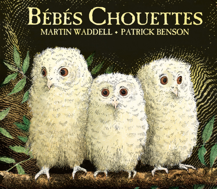 BEBES CHOUETTES (TOUT CARTON) - Martin WADELL - KALEIDOSCOPE