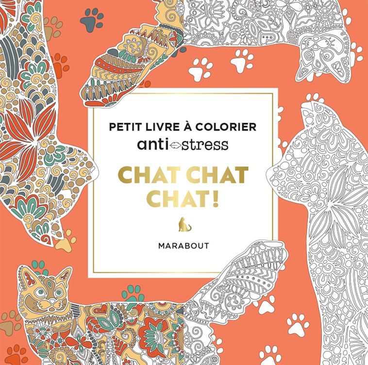 Chat chat chat ! -   - MARABOUT